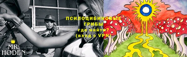 ALPHA-PVP Грязовец